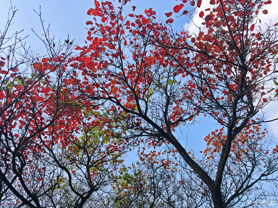 微信图片_20241103093235