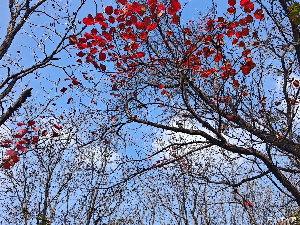 微信图片_20241103093236