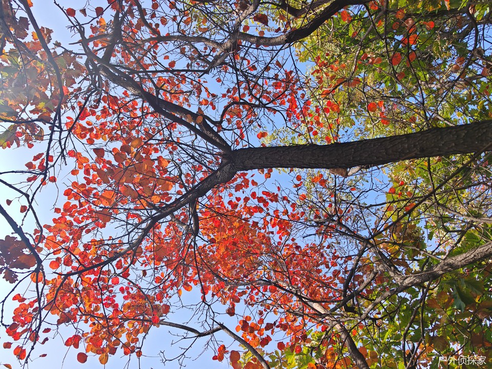 微信图片_20241103093237