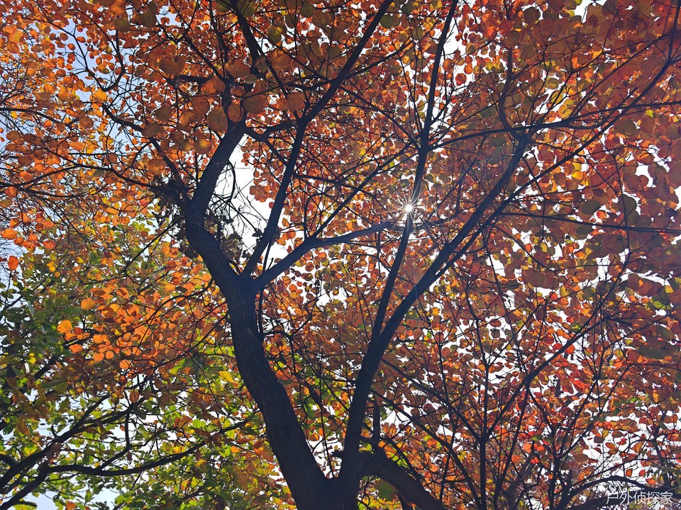 微信图片_20241103093238