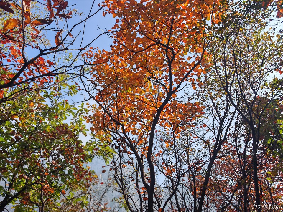 微信图片_20241103093243