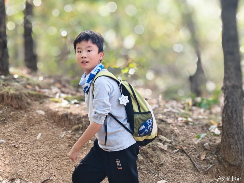 微信图片_20241103093512