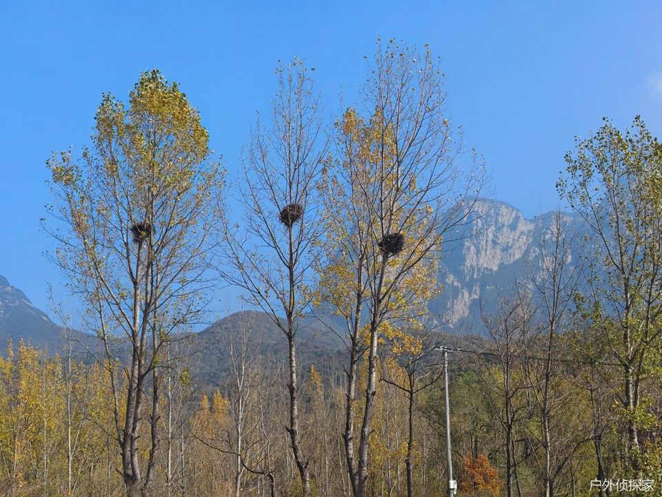 微信图片_20241103093515