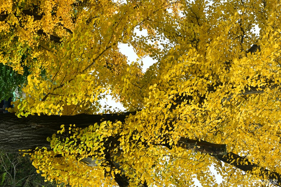 微信图片_20241103093559