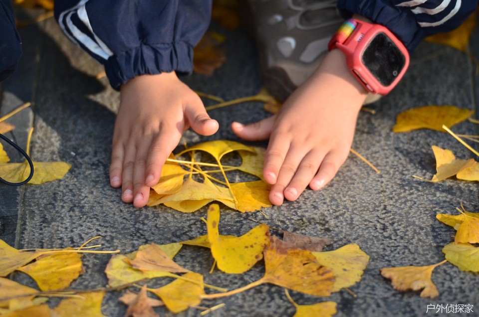 微信图片_20241103093611