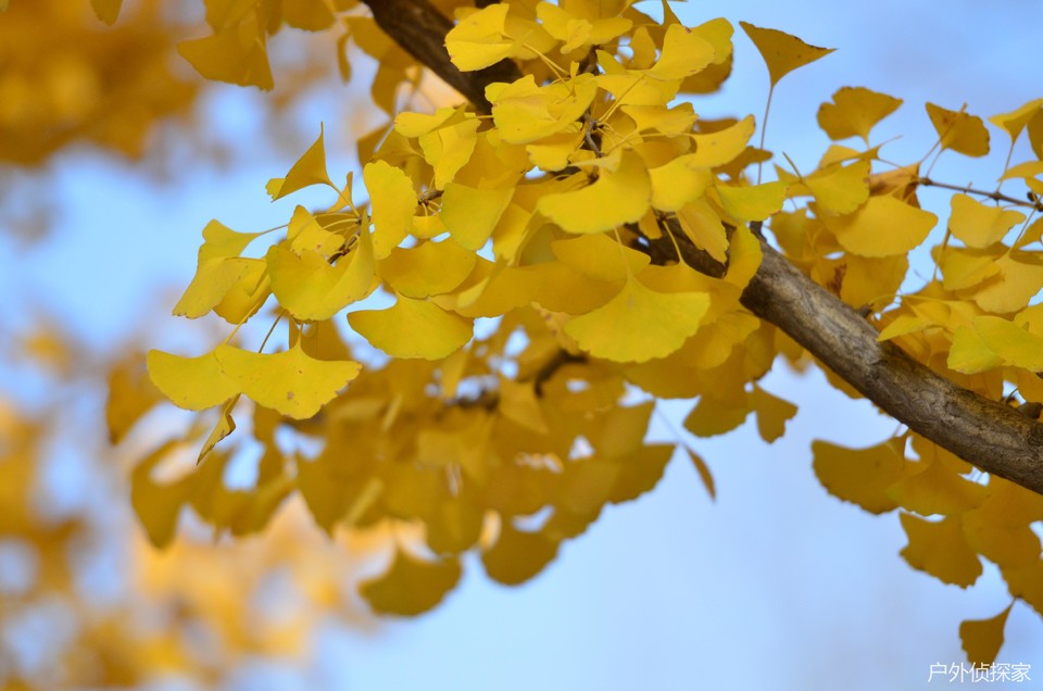 微信图片_20241103093615