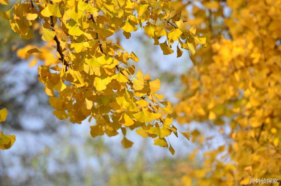 微信图片_20241103093616