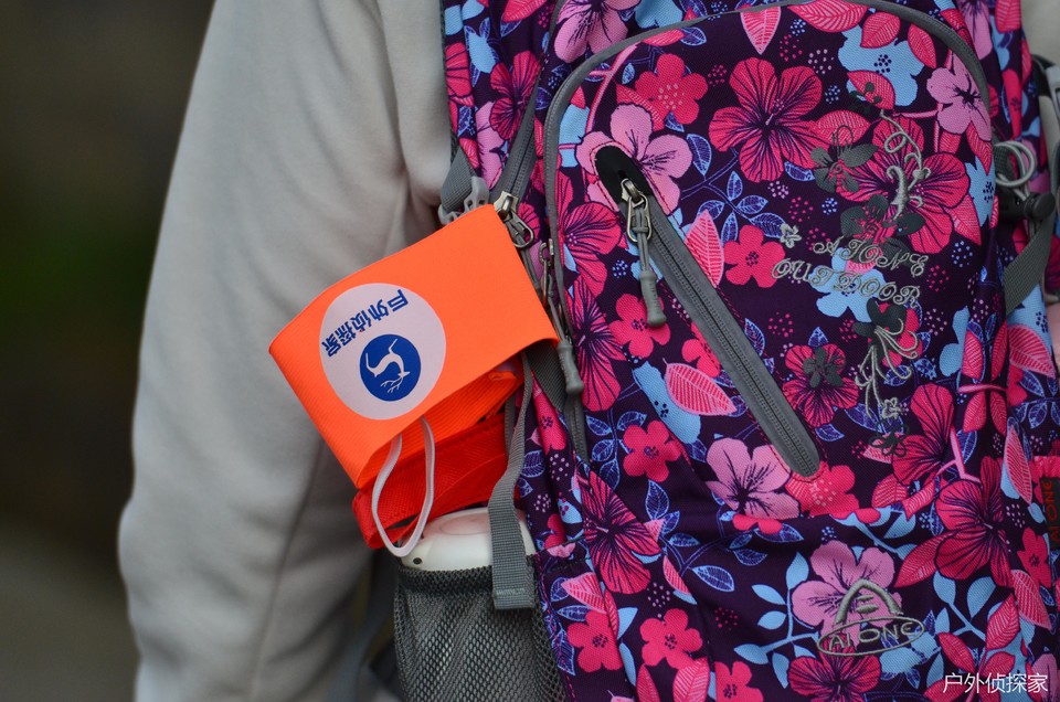 微信图片_202411030936041