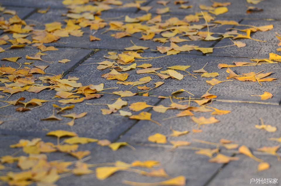 微信图片_202411030936151