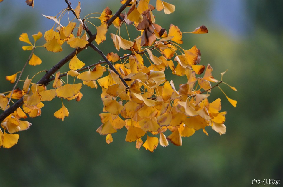 微信图片_202411030936161