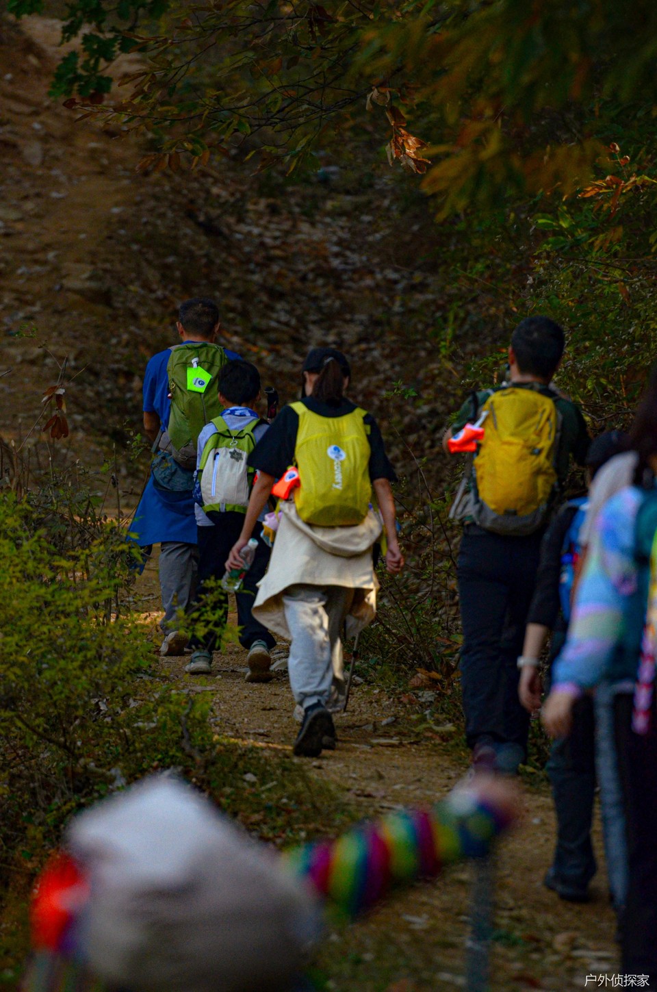 微信图片_202411030936181