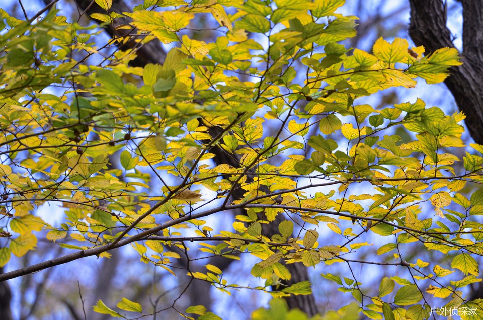 微信图片_202411030936212