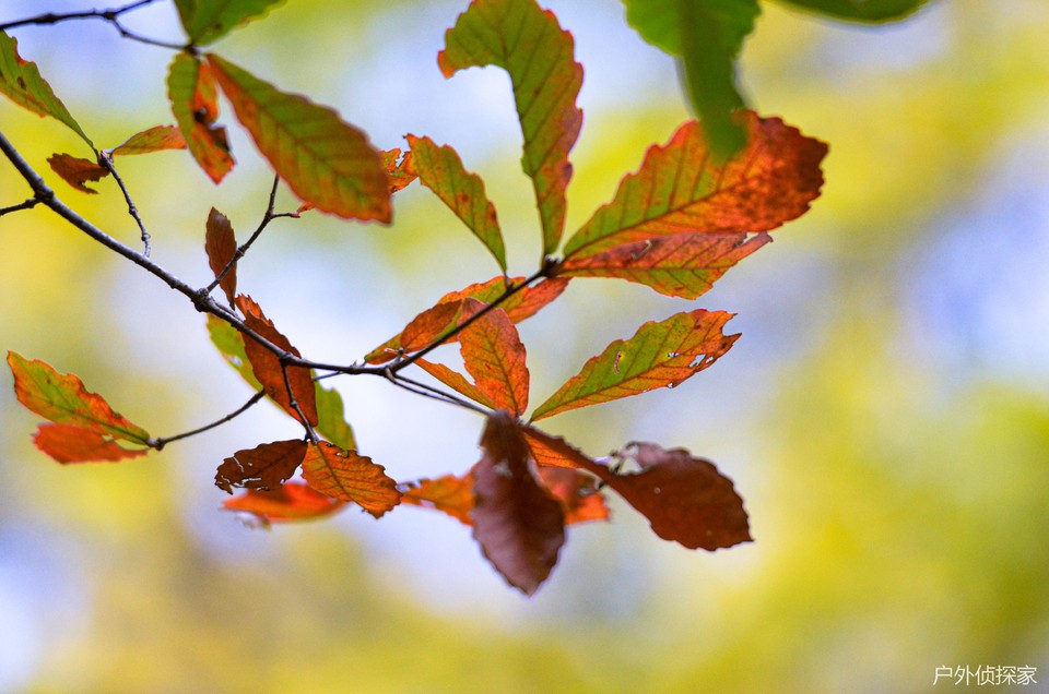 微信图片_202411030936213