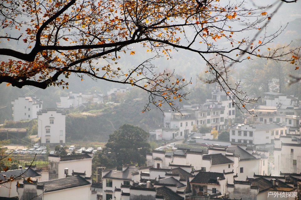 微信图片_20241124114653