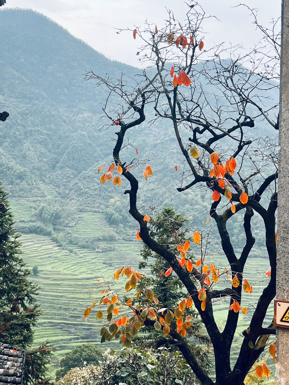 微信图片_20241124183944