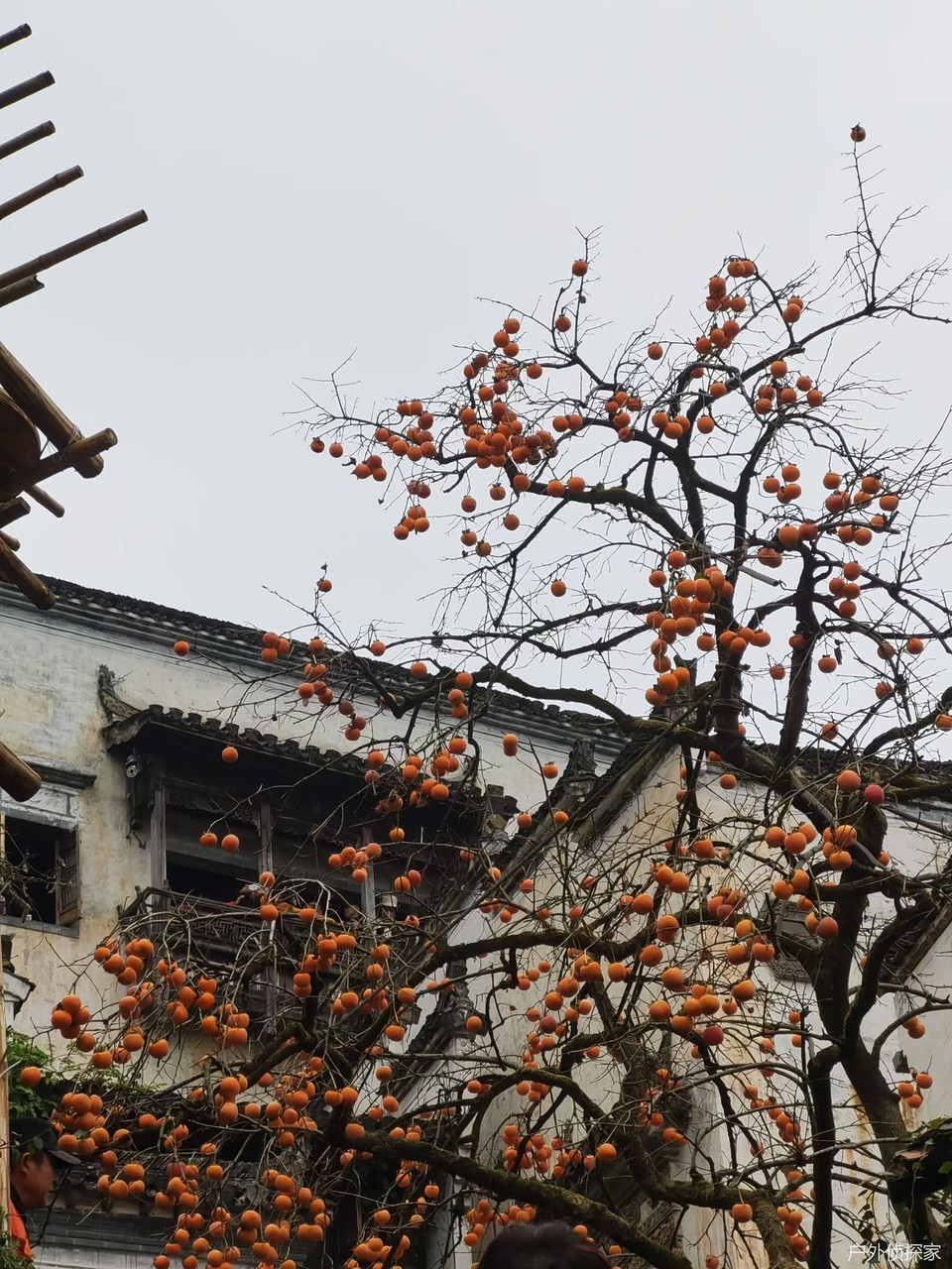 微信图片_20241124184002