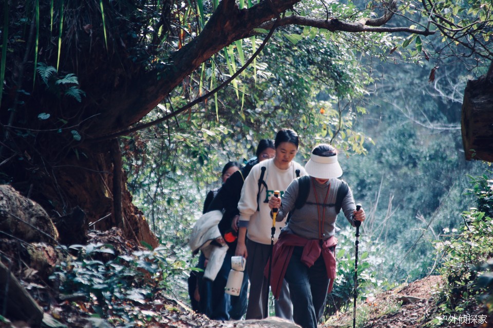 微信图片_20241124184038