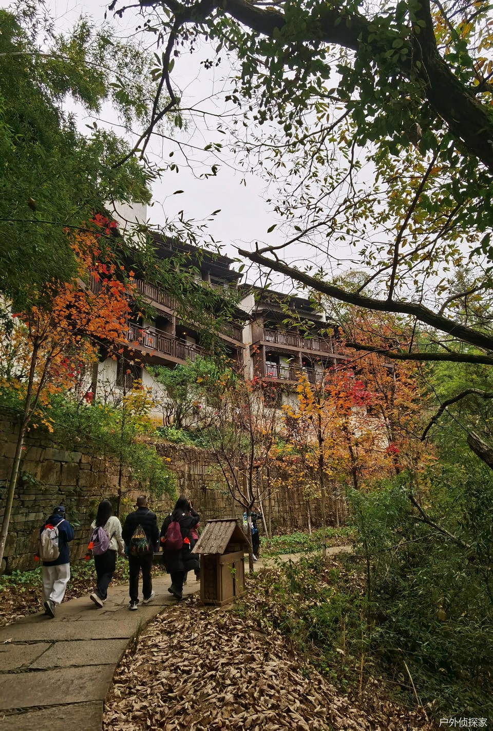 微信图片_20241124211245