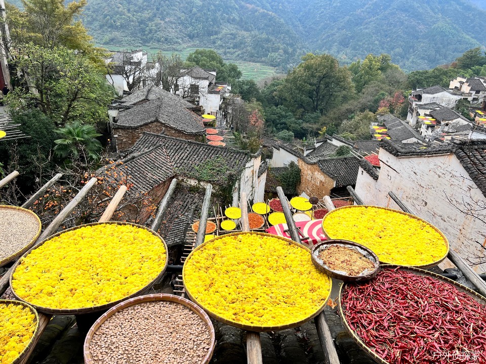 微信图片_20241124211529