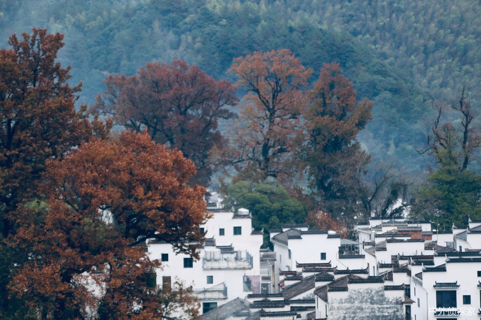 微信图片_20241124211624