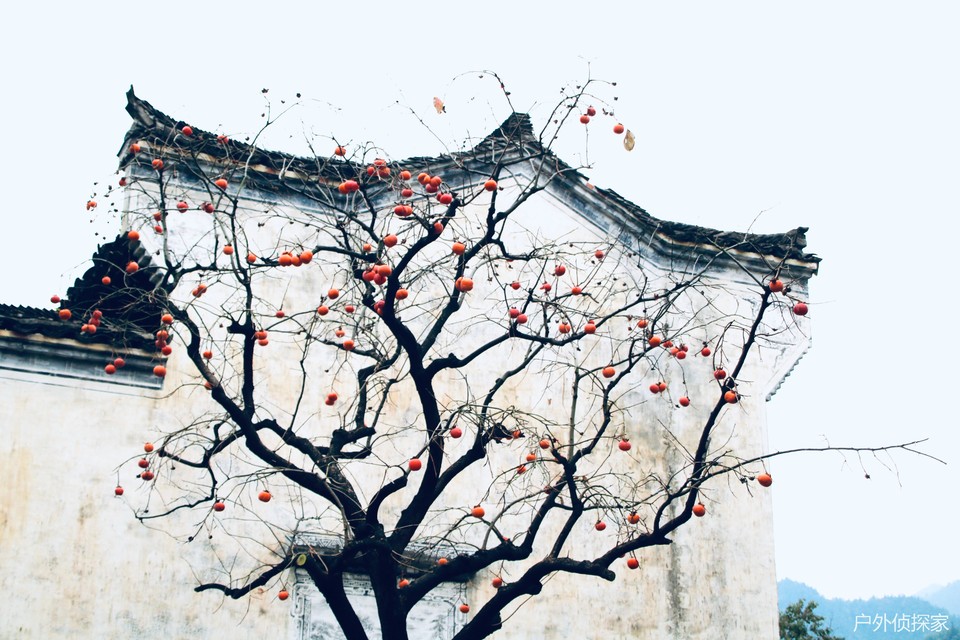 微信图片_20241124211723