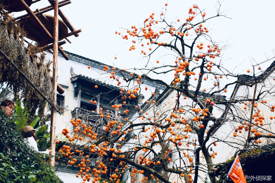 微信图片_20241124211732