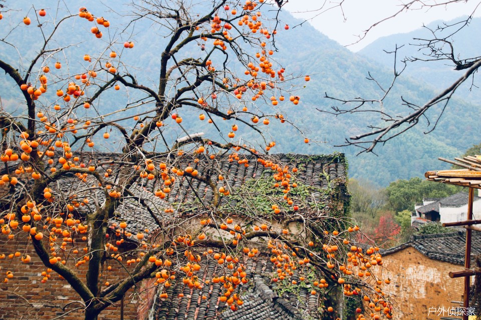 微信图片_20241124211820