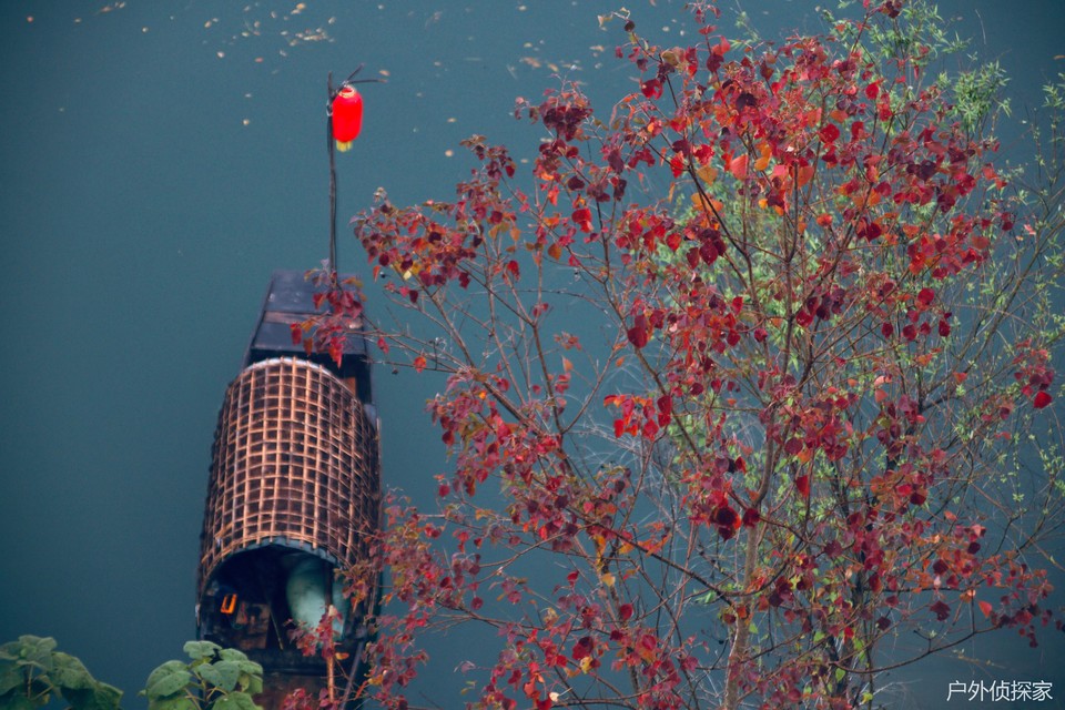 微信图片_20241124212028