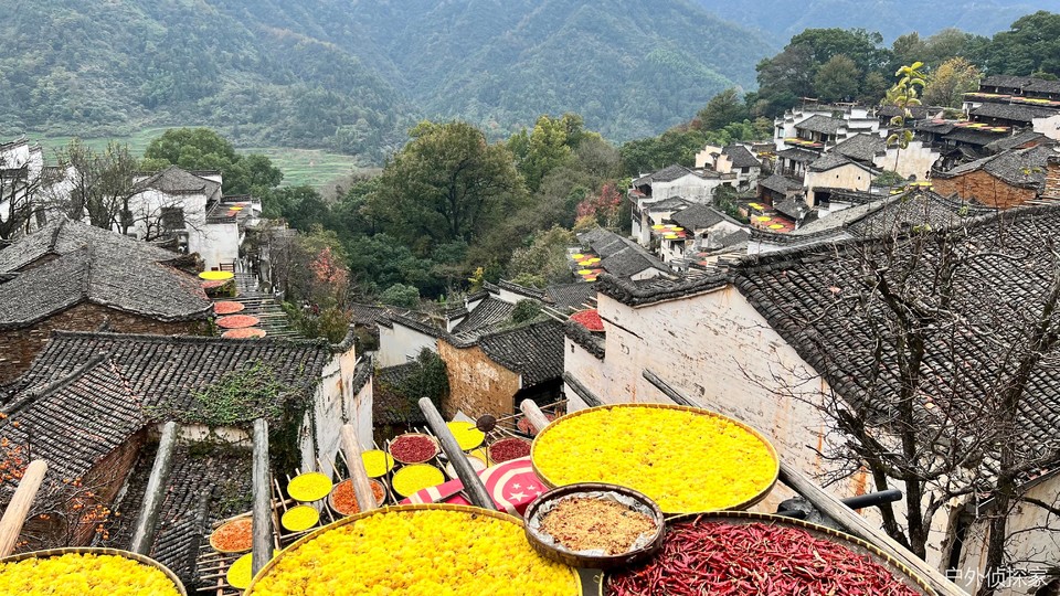 微信图片_2024112418400202