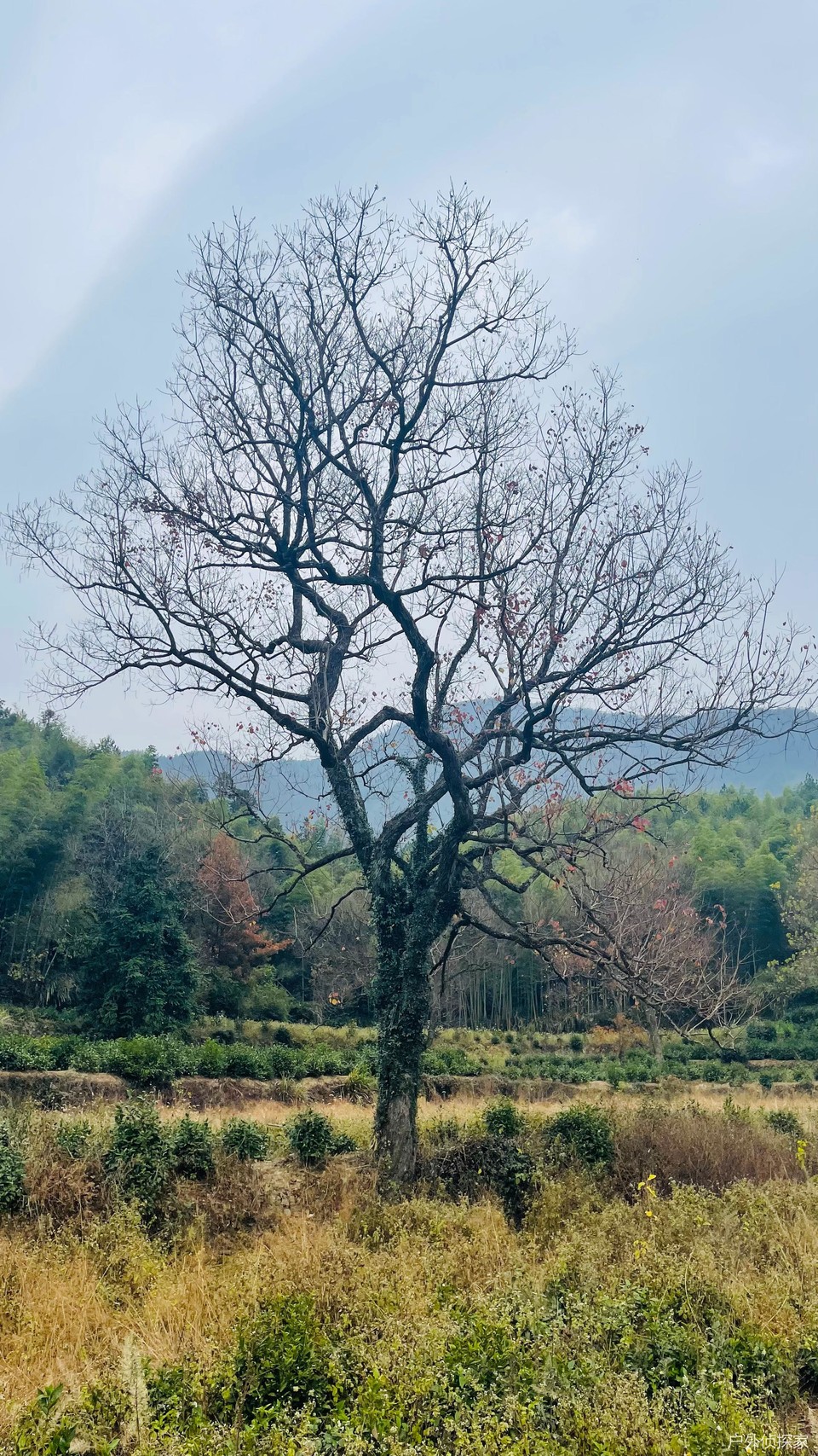 微信图片_20241124182912