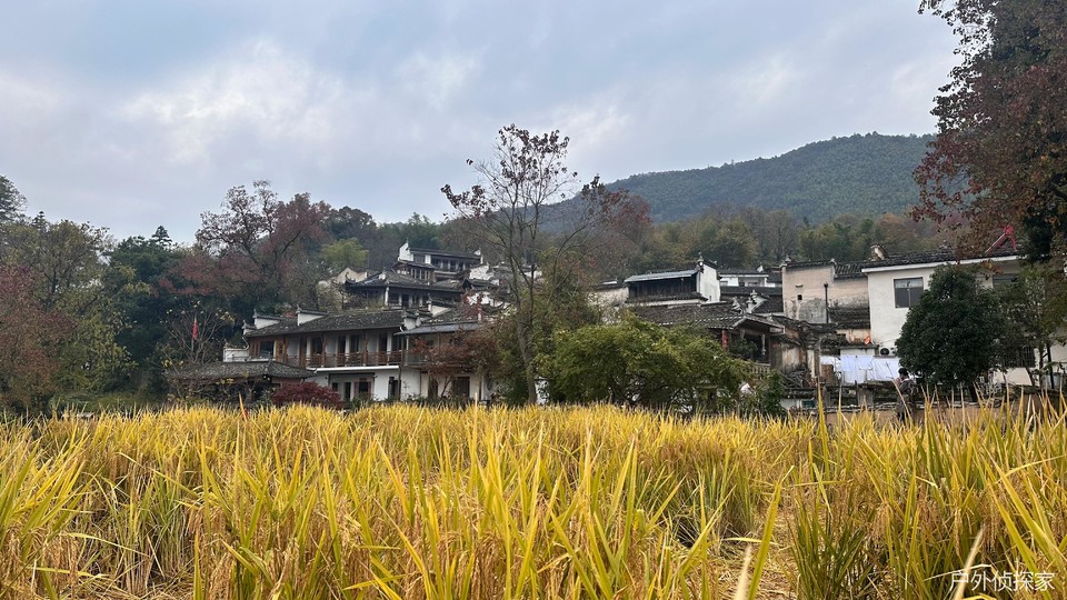 微信图片_20241124183100