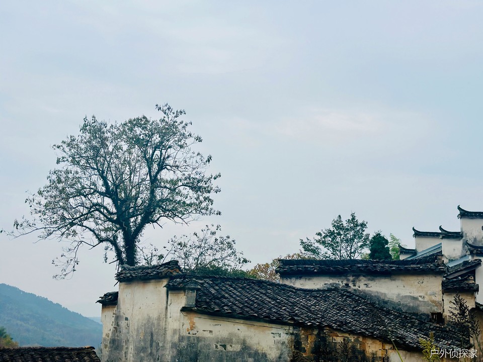 微信图片_20241124183209