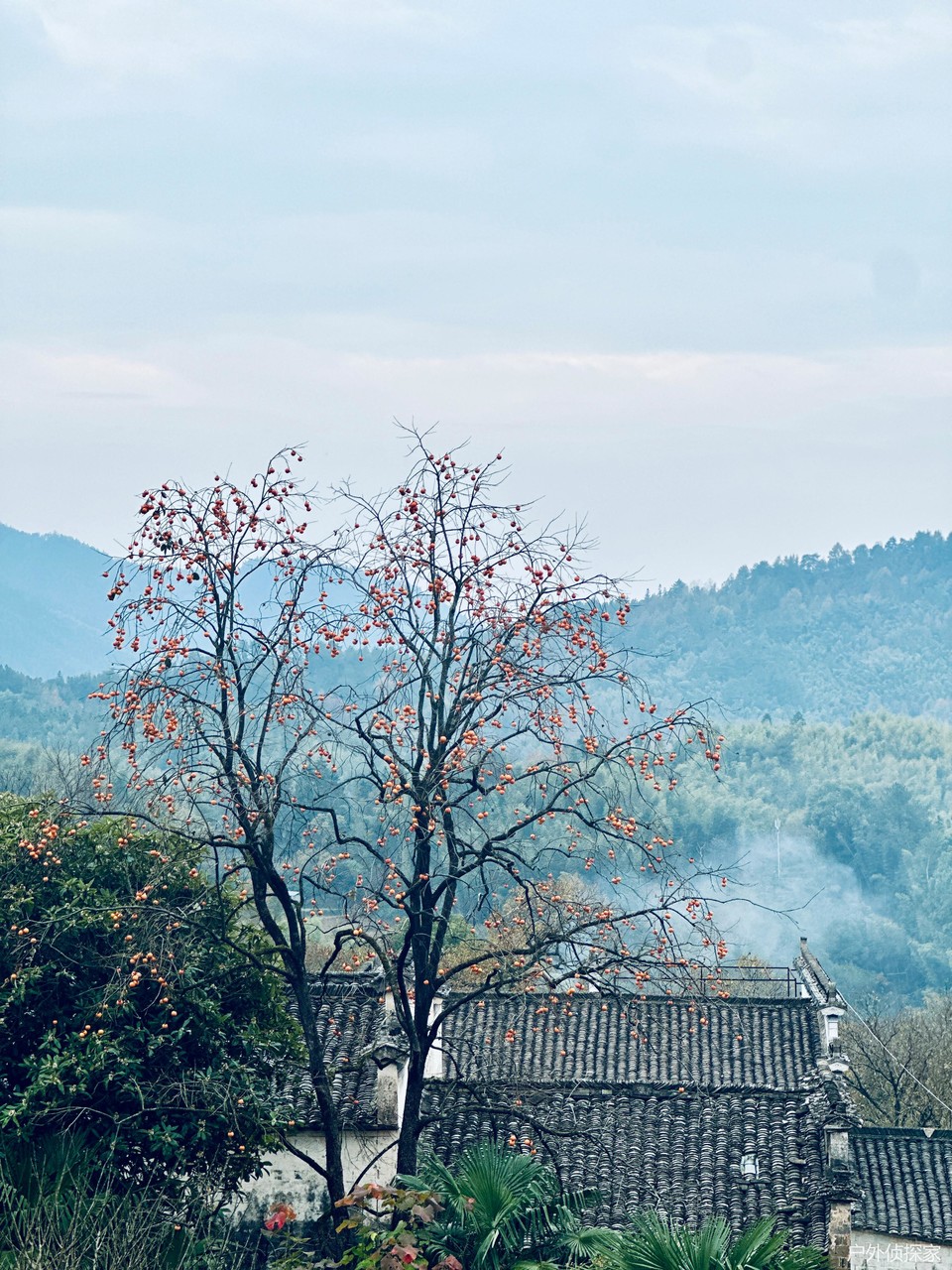 微信图片_20241124183155