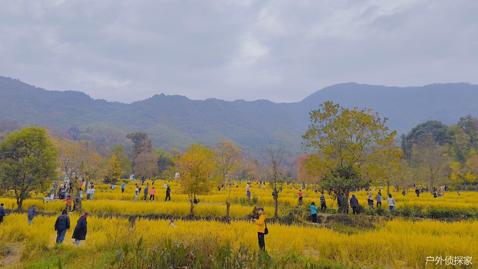 微信图片_20241124183233