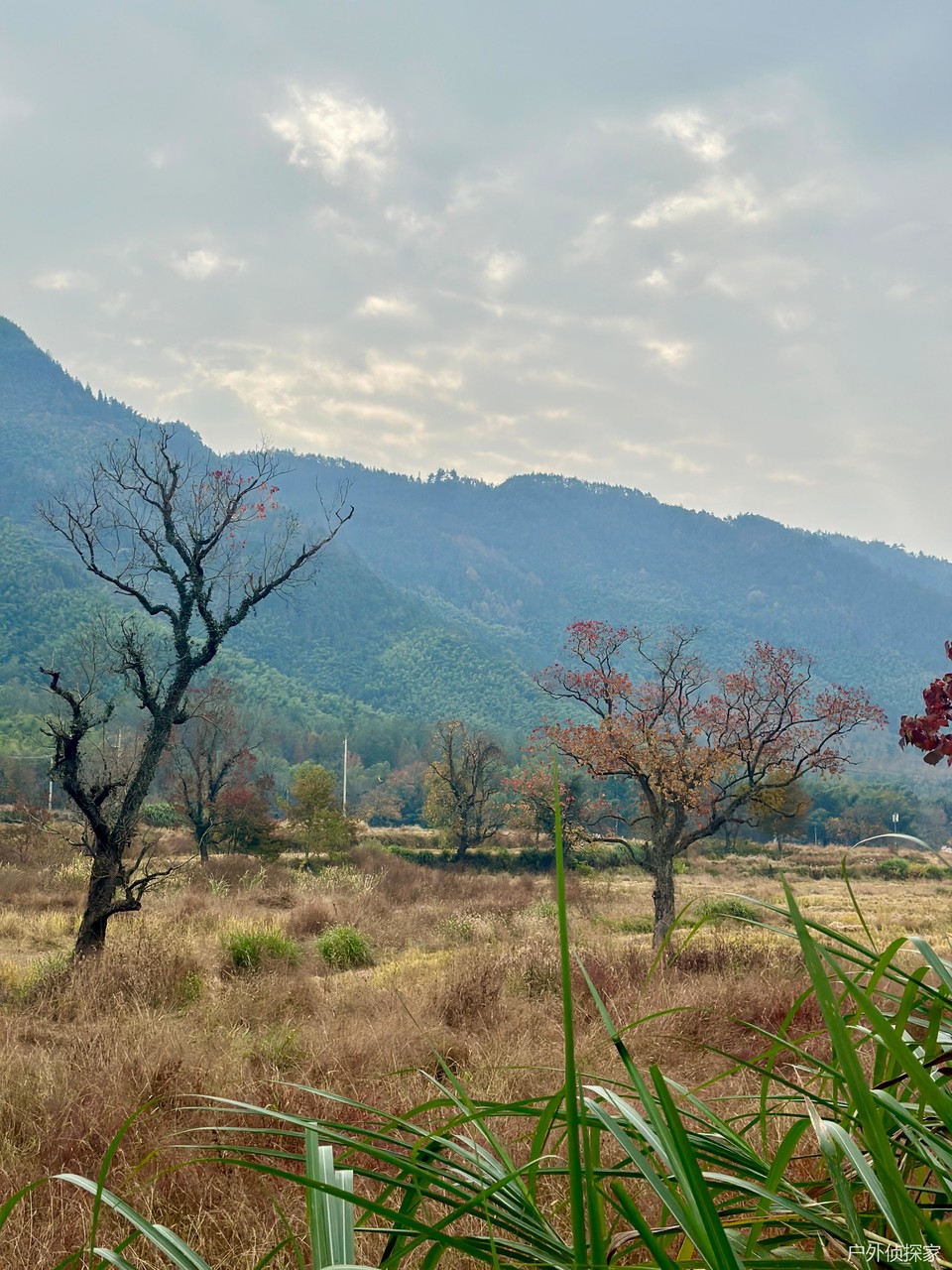 微信图片_20241124183242