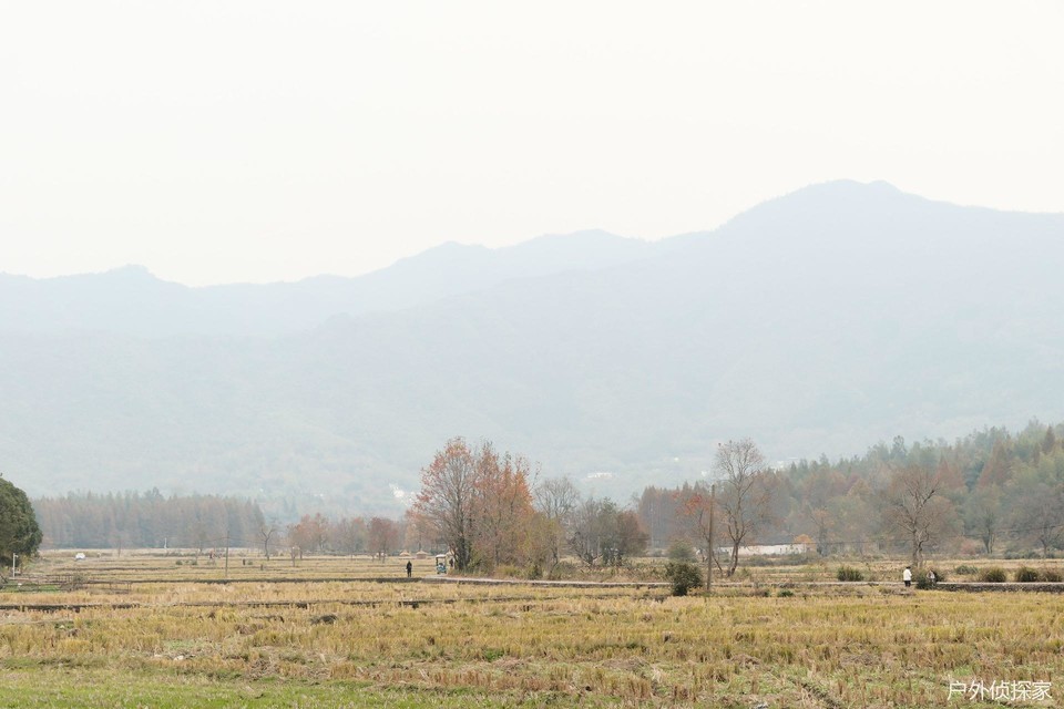 微信图片_20241124183319