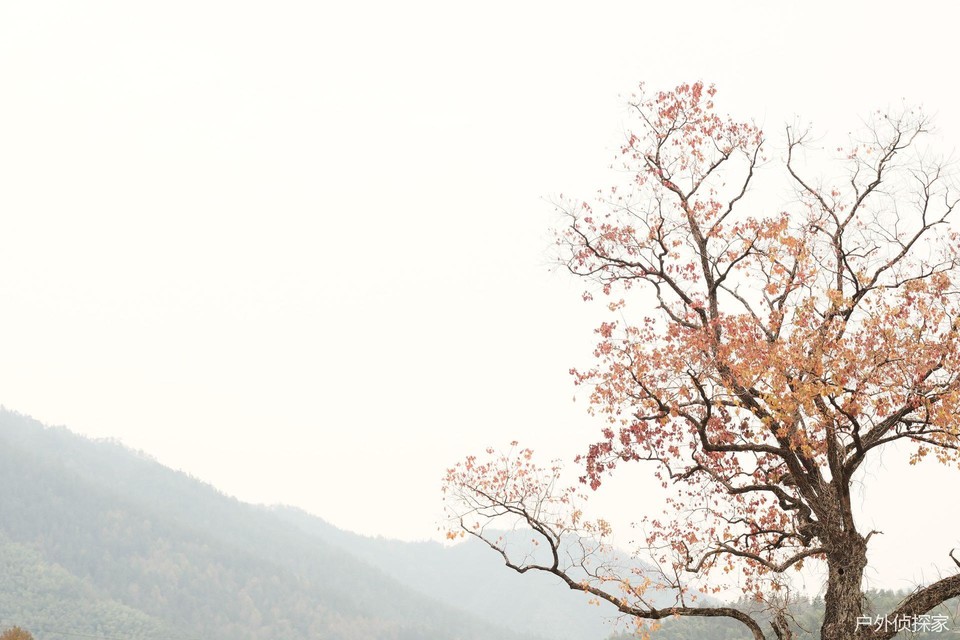 微信图片_20241124183332