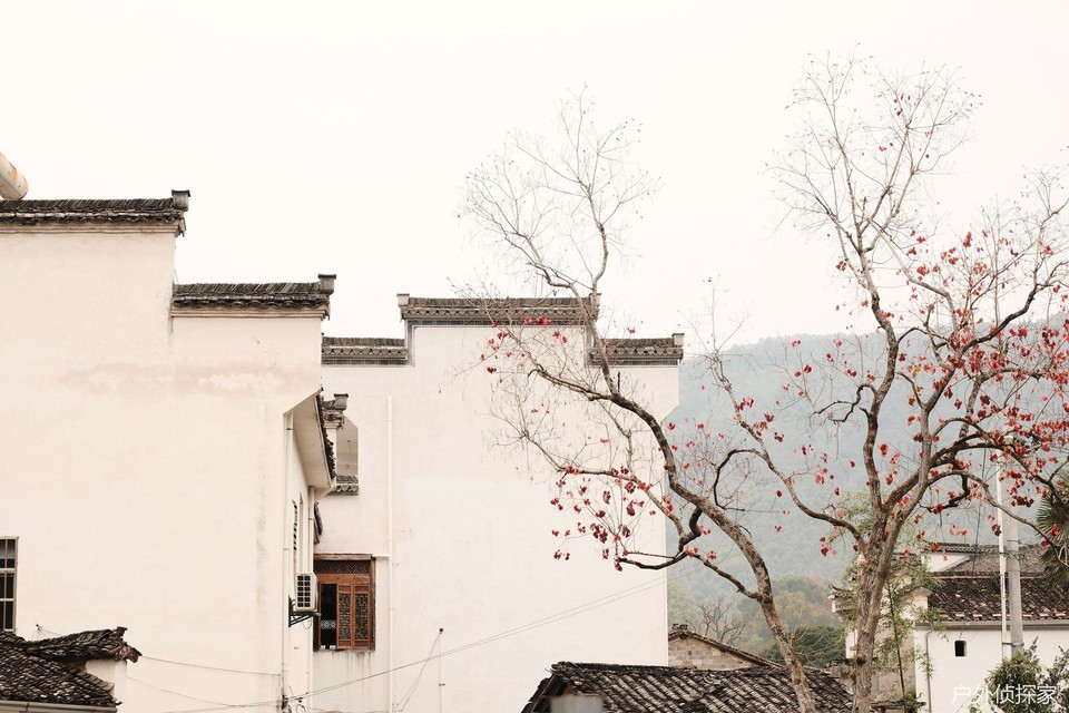 微信图片_20241124183336