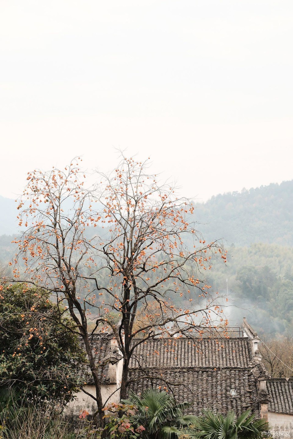 微信图片_20241124183358