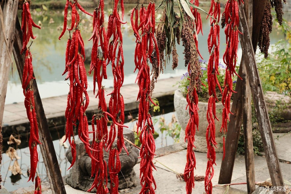 微信图片_20241124183646