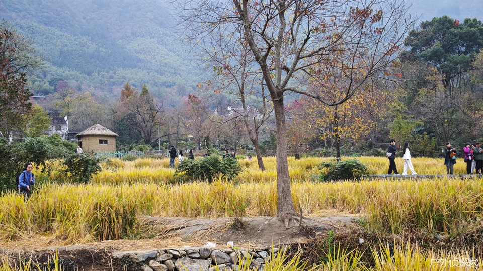 微信图片_20241124210444