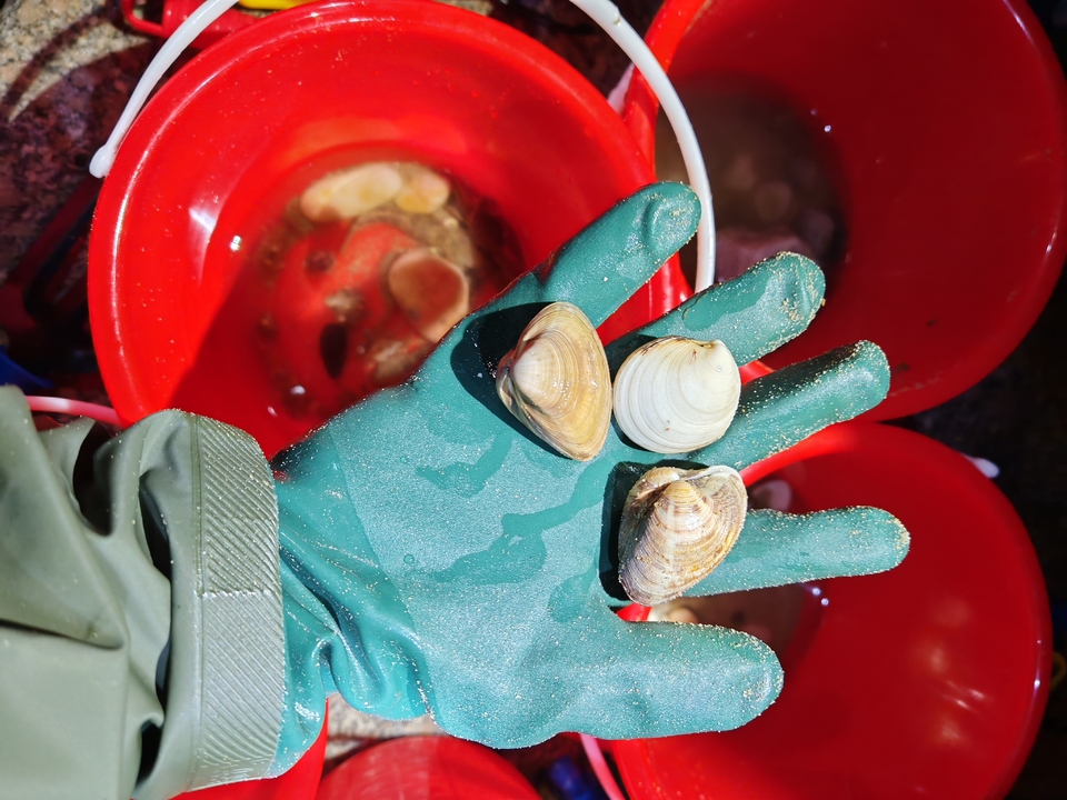 微信图片_20250506150020