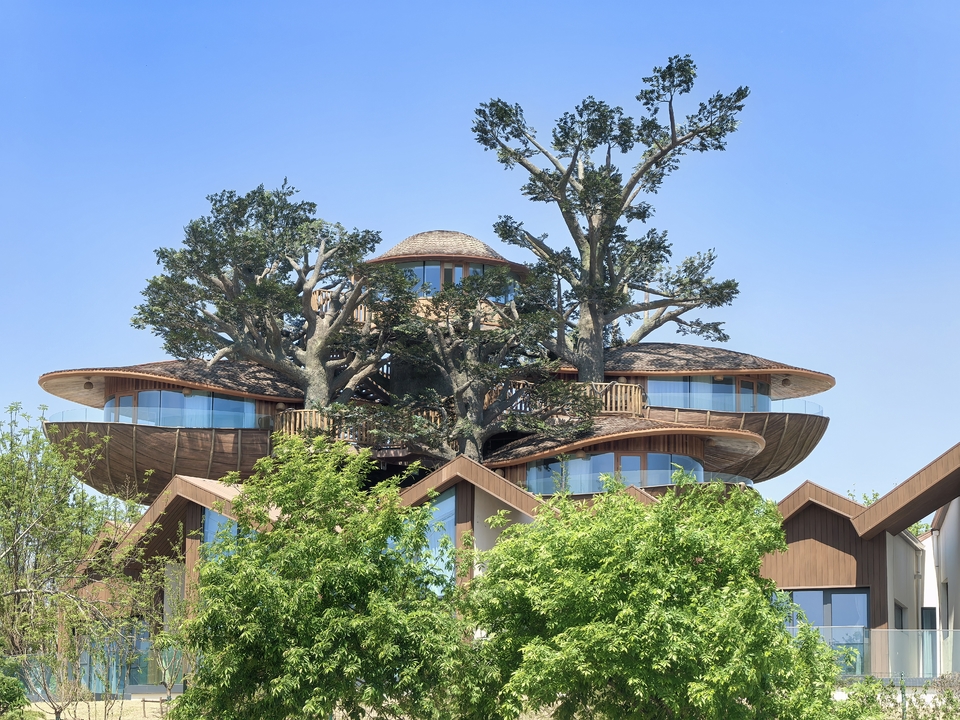 微信图片_202505061456562