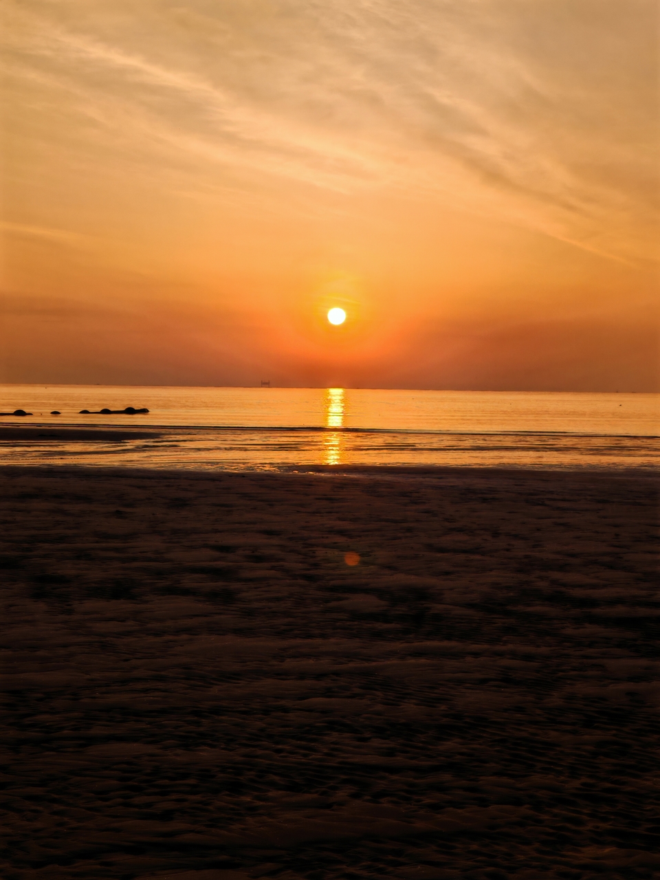 微信图片_202505061458231