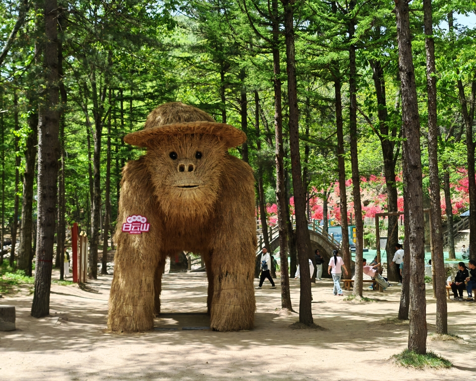 微信图片_20250505120051