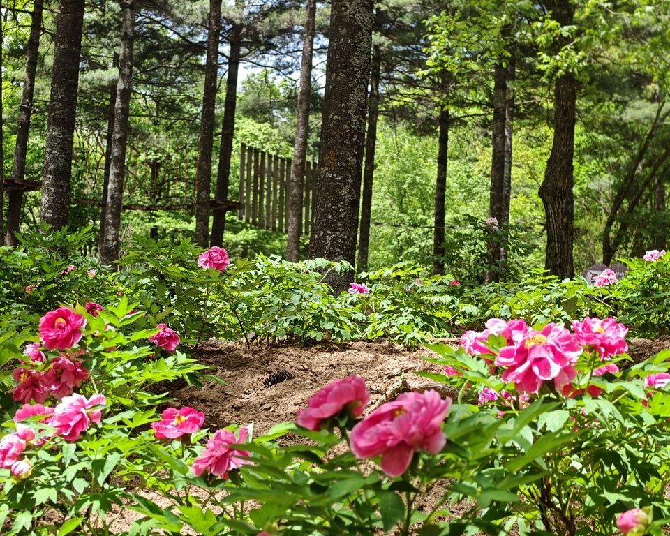 微信图片_20250505120537