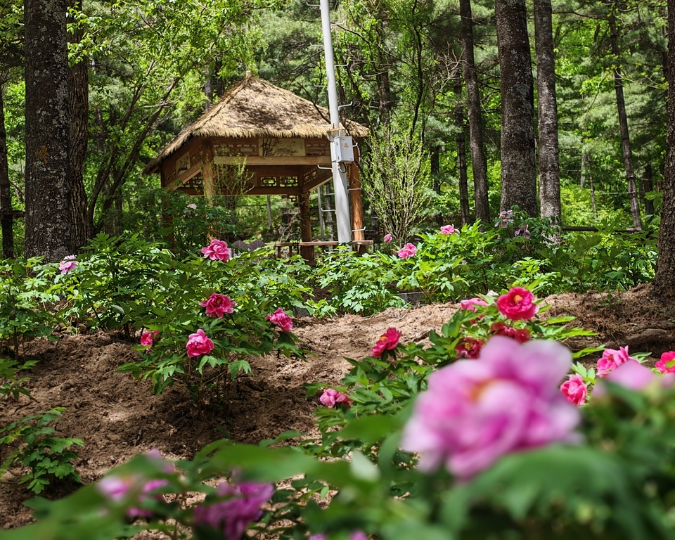 微信图片_20250505120548