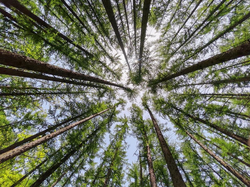 微信图片_20250505121704