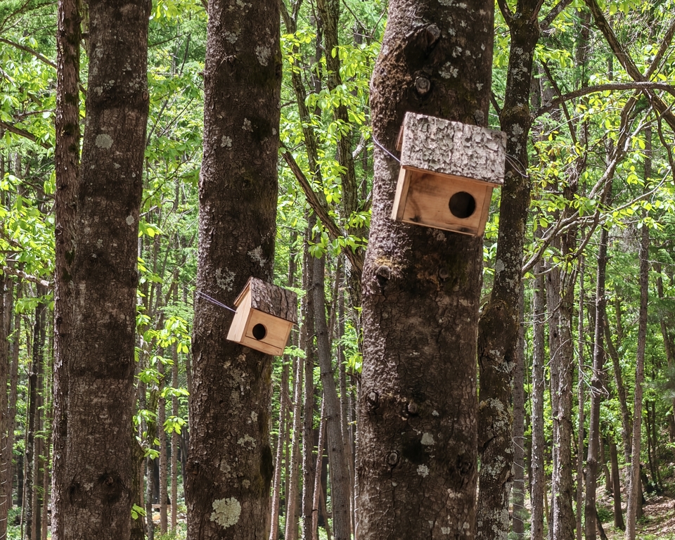 微信图片_20250505123154