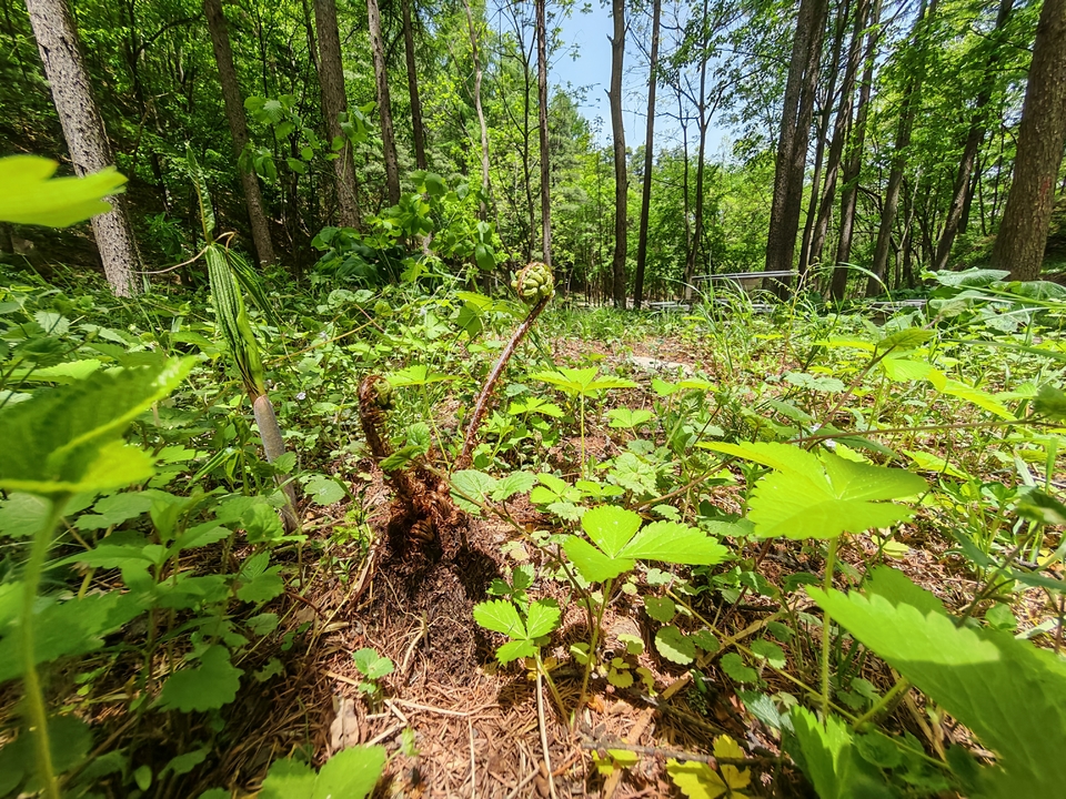 微信图片_20250505172103